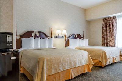 کوالیتی این اند سویتز اورگرین