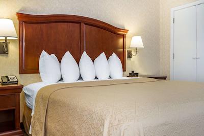 کوالیتی این اند سویتز اورگرین