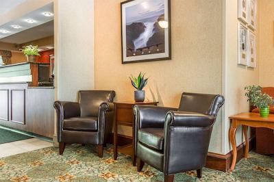 کوالیتی این اند سویتز اورگرین