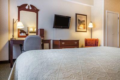 کوالیتی این اند سویتز اورگرین