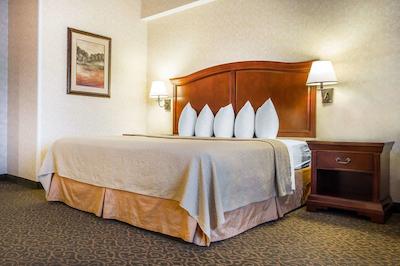 کوالیتی این اند سویتز اورگرین