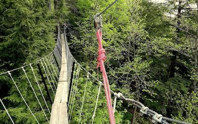 پینستون ریزرت