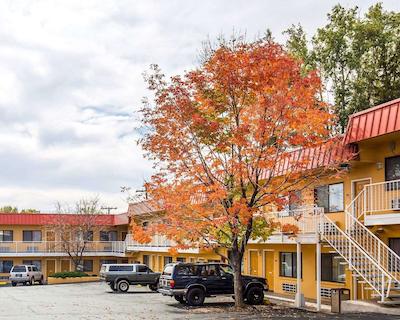 ردو این ات نوادا استات کاپیتل