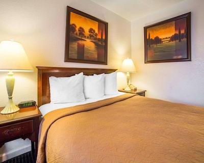 ردو این ات نوادا استات کاپیتل