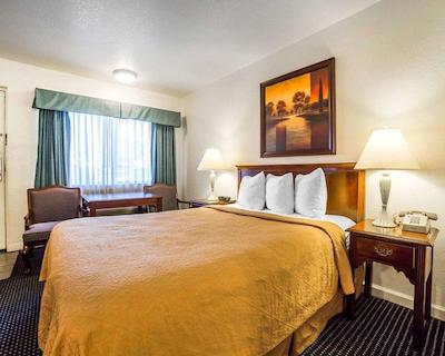 ردو این ات نوادا استات کاپیتل