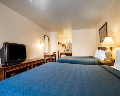 ردو این ات نوادا استات کاپیتل