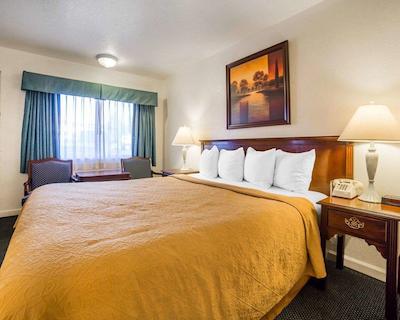 ردو این ات نوادا استات کاپیتل