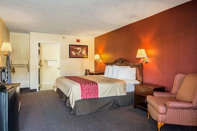 رد روف این فتویل