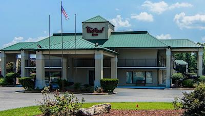 رد روف این فتویل