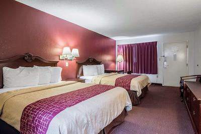 رد روف این فتویل