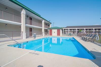 رد روف این فتویل