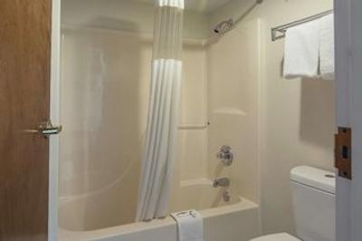 رد روف این فتویل