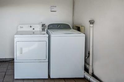 رد روف این فتویل