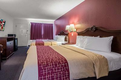 رد روف این فتویل