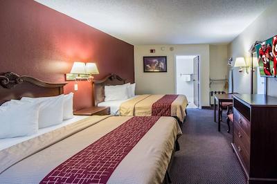 رد روف این فتویل