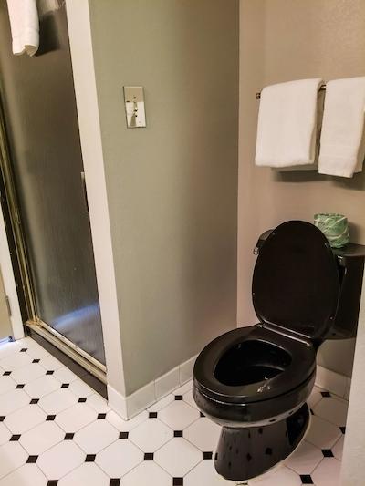 سورست پلاس هتل بای بست وسترن لکسینگتون