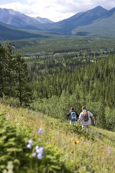 کاناناسکیز مونتین لج اوتگراف کالکشن