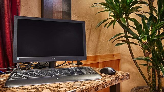 بست وسترن فنیکس گودییر این