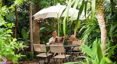 سیلم سیتی این