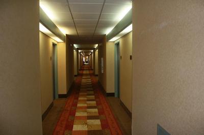 د این ات کریدمور