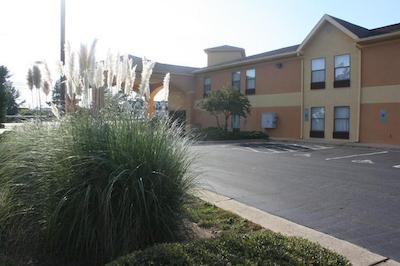 د این ات کریدمور