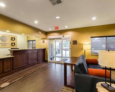 کمفرت این ایست