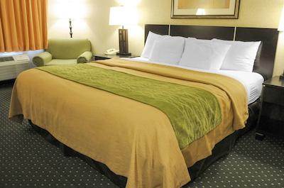 کمفرت این اند سویتز نرد