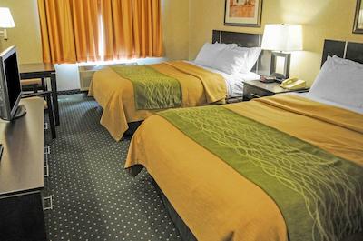 کمفرت این اند سویتز نرد