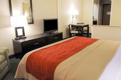 کمفرت این اند سویتز نرد