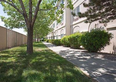 کمفرت این اند سویتز نرد