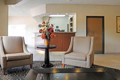 کمفرت این اند سویتز نرد