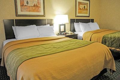 کمفرت این اند سویتز نرد