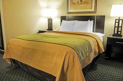 کمفرت این اند سویتز نرد