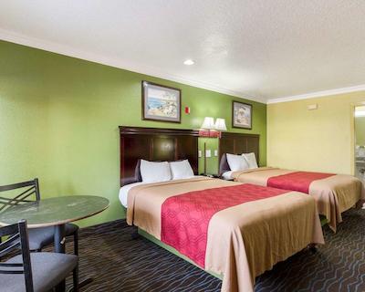 اکنو لج هوستون هببای آیرپرت