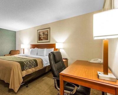 کمفرت این ات د زو