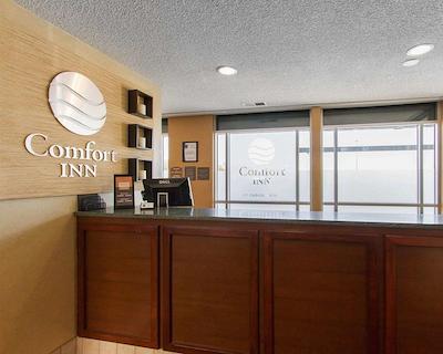 کمفرت این ات د زو