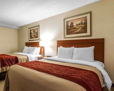 کمفرت این ات د زو