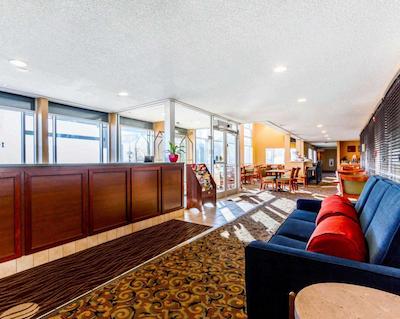 کمفرت این ات د زو