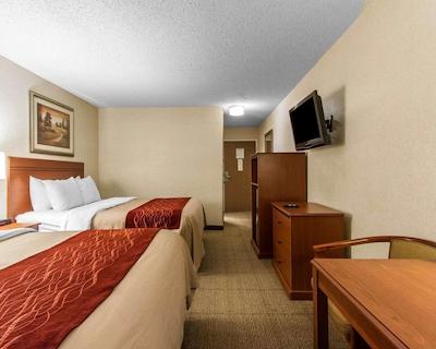 کمفرت این ات د زو