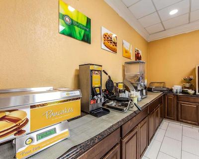 کوالیتی این ماریتا