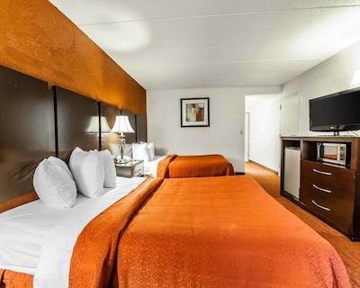 کوالیتی این ماریتا