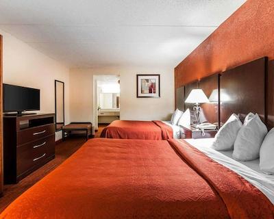 کوالیتی این ماریتا