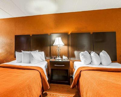 کوالیتی این ماریتا