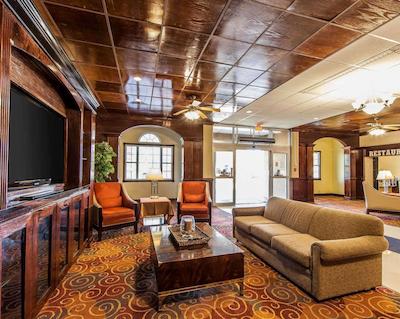 کوالیتی این ماریتا