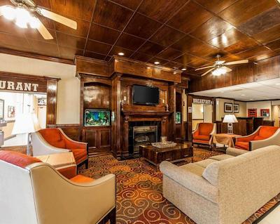 کوالیتی این ماریتا