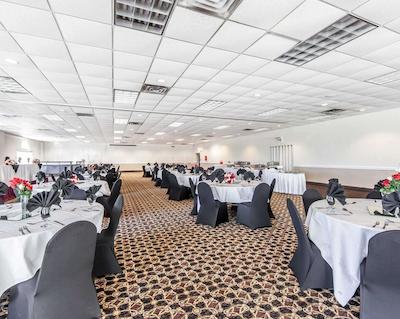 کوالیتی این ماریتا