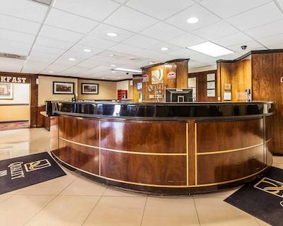 کوالیتی این ماریتا