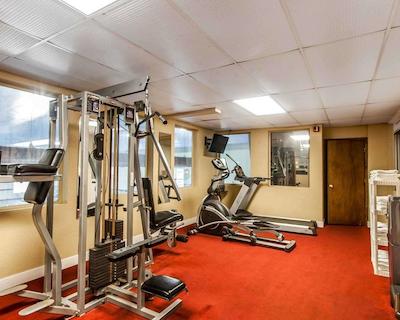 کوالیتی این ماریتا