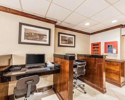 کوالیتی این ماریتا