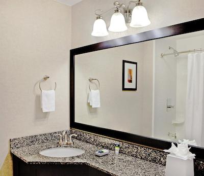 فور پوینتز بای شراتون کالامازو